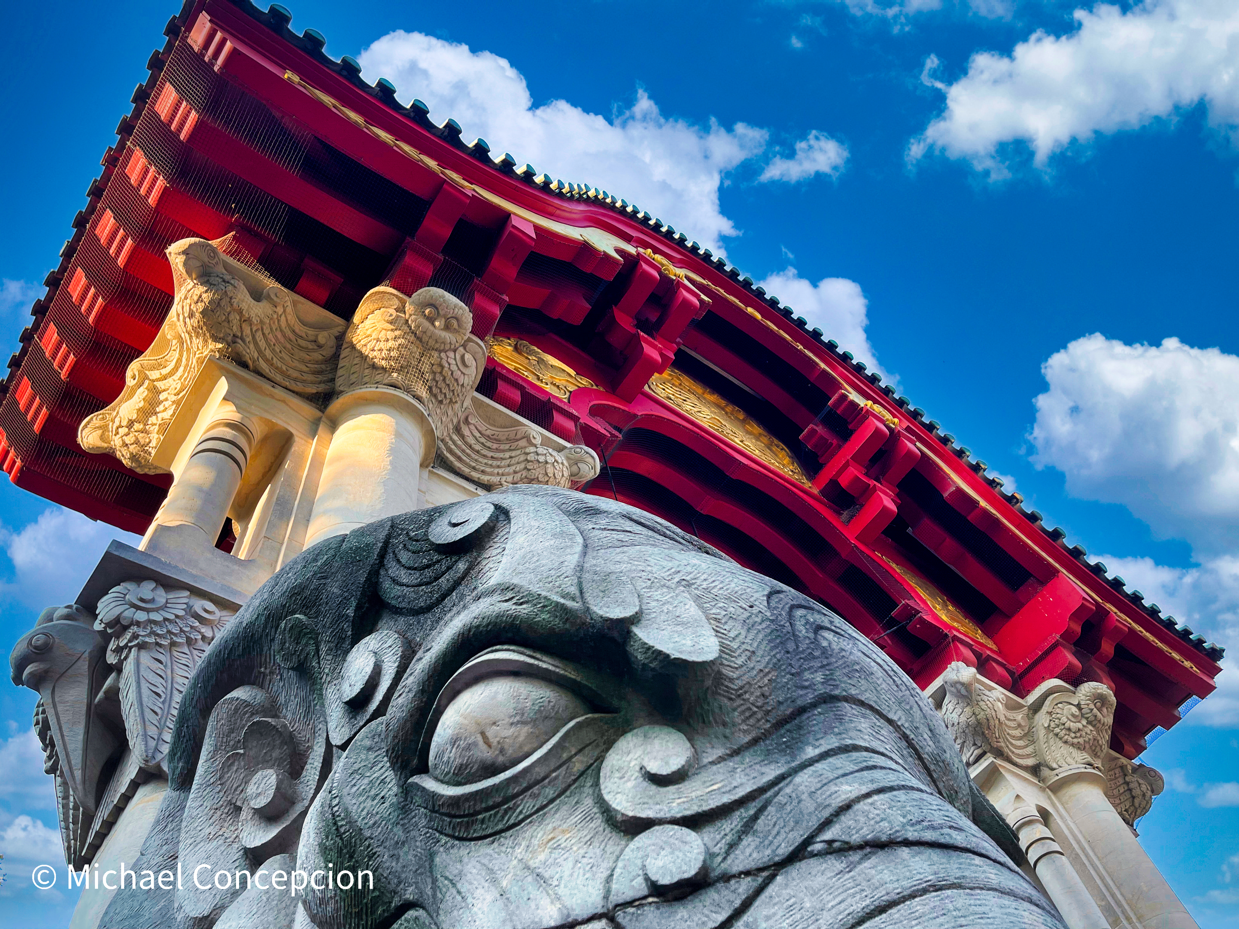Field of purple wildflowers at sunset