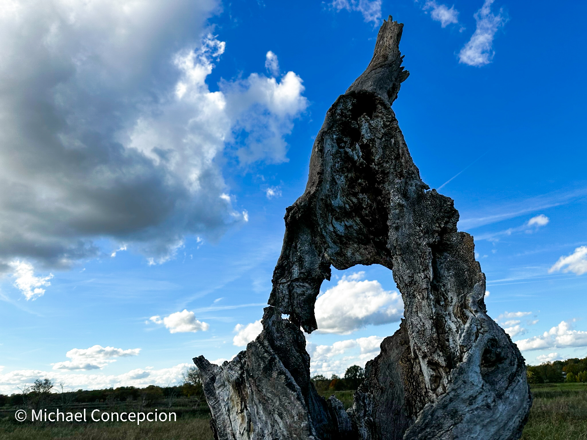 Weathered tree stump against dramatic sky